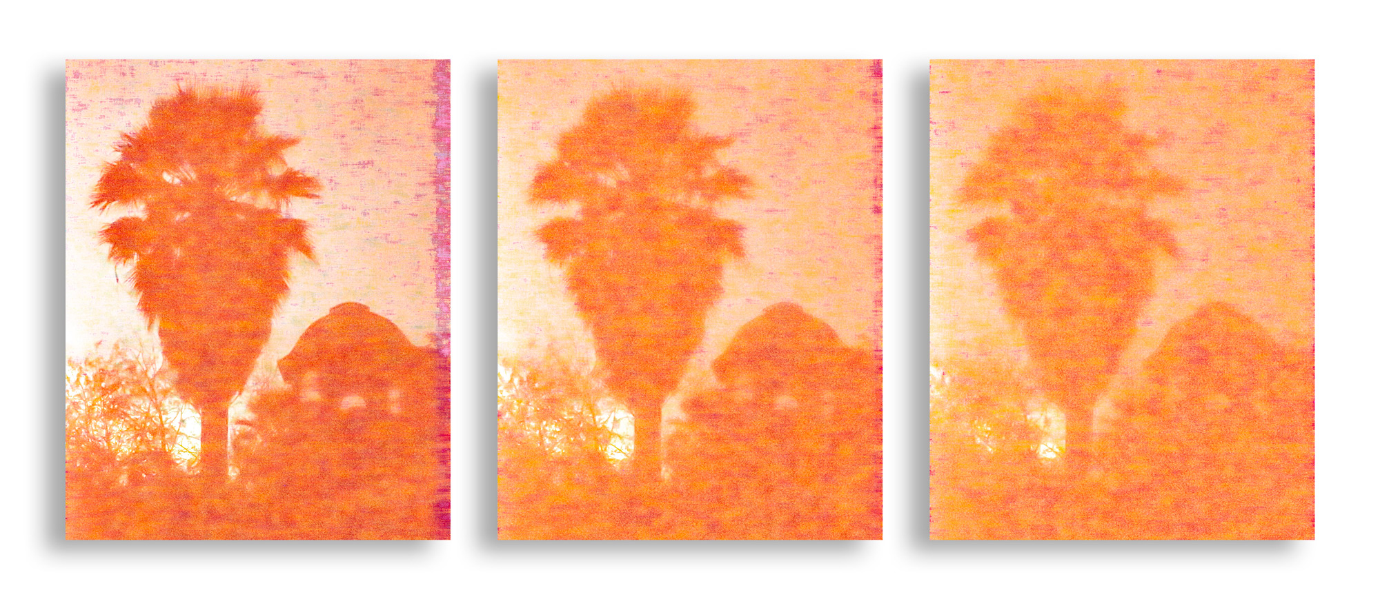 A Death In The Family