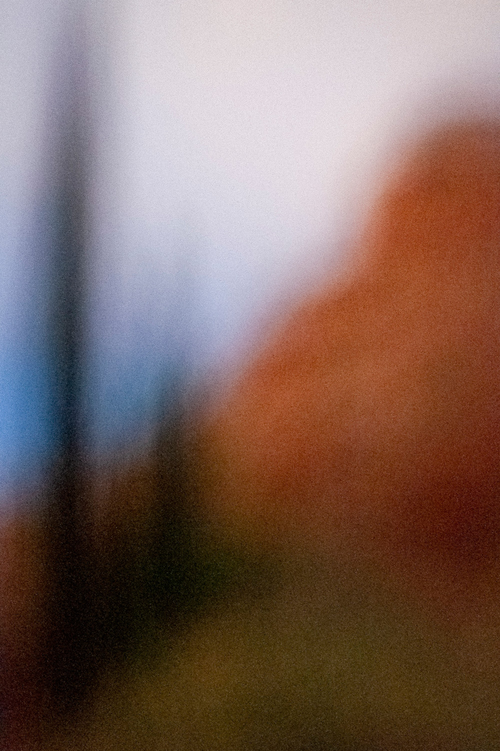 Peter Wiarda - Still Life with Cliff and Trees